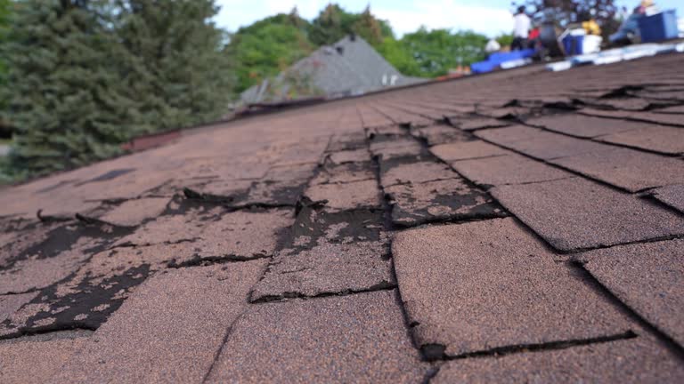 Best Asphalt Shingles Roofing  in Petersburg, MI