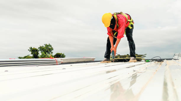 Emergency Roof Repair in Petersburg, MI