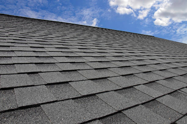 Best Slate Roofing  in Petersburg, MI